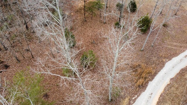 545 Howard Switch Rd, Hohenwald, TN 38462 - photo 13