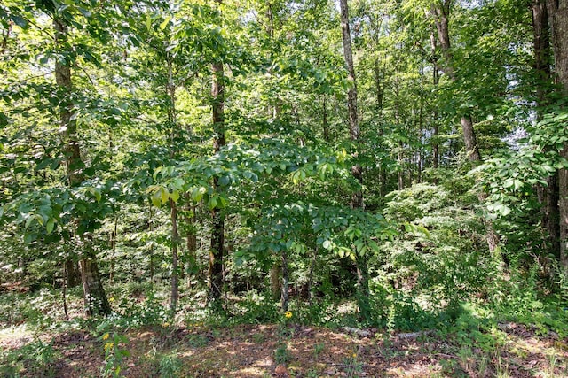 545 Howard Switch Rd, Hohenwald, TN 38462 - photo 2
