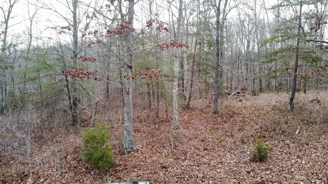 545 Howard Switch Rd, Hohenwald, TN 38462 - photo 22
