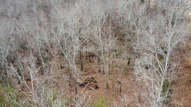 545 Howard Switch Rd, Hohenwald, TN 38462 - photo 12