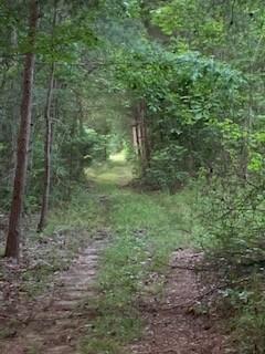 545 Howard Switch Rd, Hohenwald, TN 38462 - photo 9