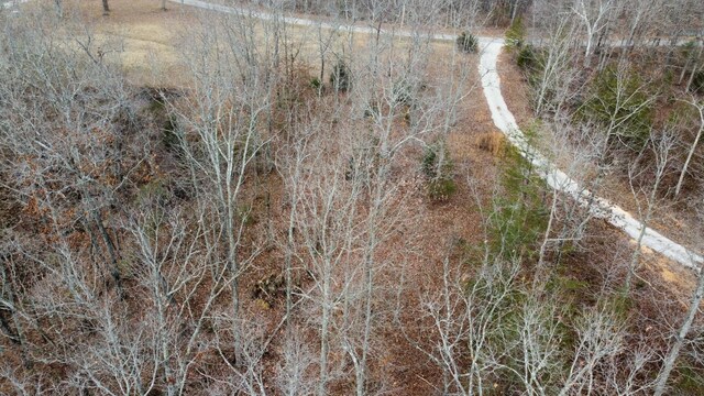 545 Howard Switch Rd, Hohenwald, TN 38462 - photo 19
