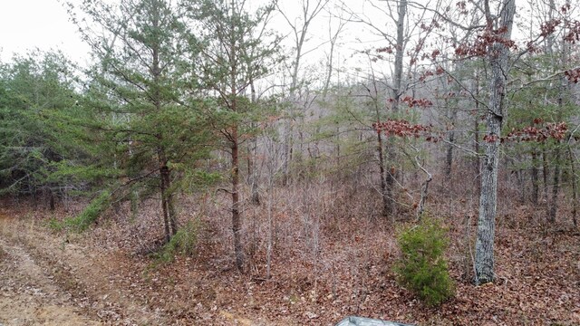 545 Howard Switch Rd, Hohenwald, TN 38462 - photo 21