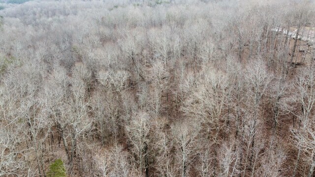 545 Howard Switch Rd, Hohenwald, TN 38462 - photo 18