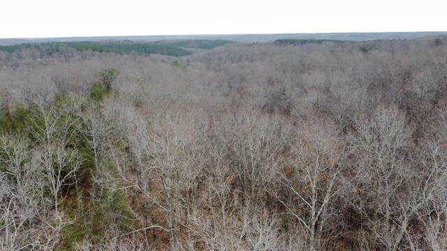 545 Howard Switch Rd, Hohenwald, TN 38462 - photo 15