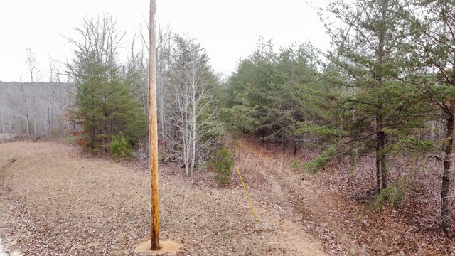 545 Howard Switch Rd, Hohenwald, TN 38462 - photo 20