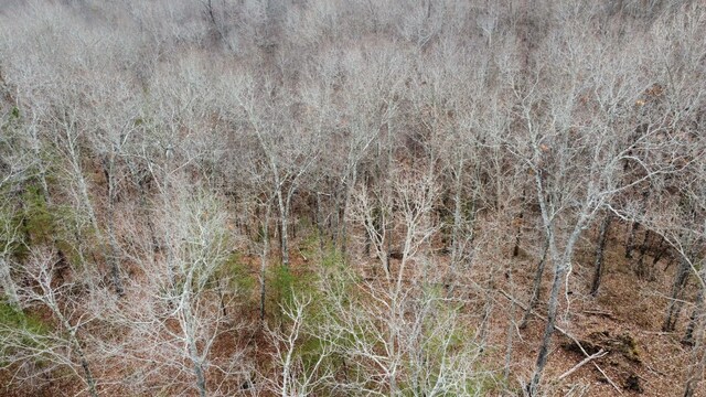 545 Howard Switch Rd, Hohenwald, TN 38462 - photo 11
