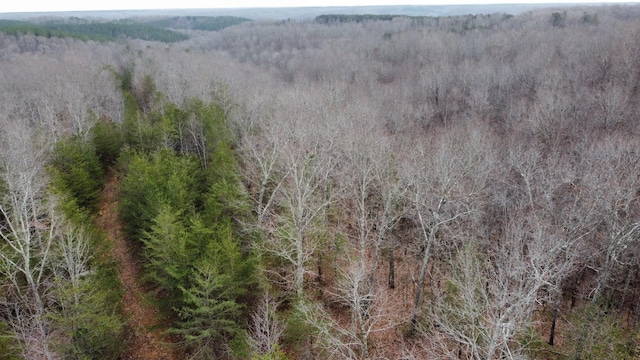 545 Howard Switch Rd, Hohenwald, TN 38462 - photo 1
