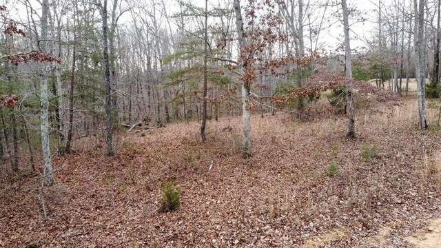 545 Howard Switch Rd, Hohenwald, TN 38462 - photo 23