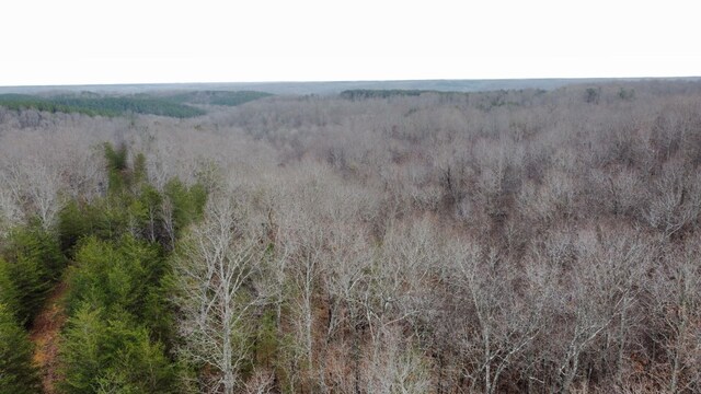 545 Howard Switch Rd, Hohenwald, TN 38462 - photo 10