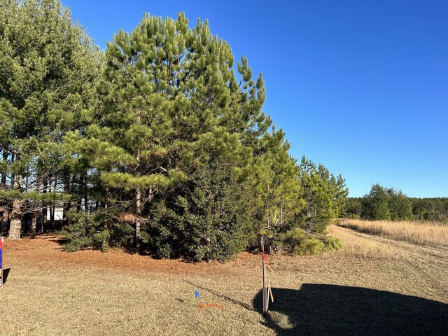 0 Hickerson Rd, Manchester, TN 37355 - photo 7