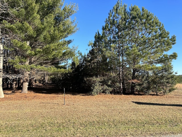 0 Hickerson Rd, Manchester, TN 37355 - photo 5