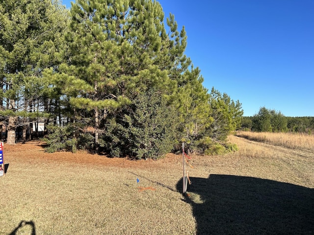 0 Hickerson Rd, Manchester, TN 37355 - photo 6