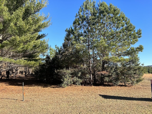 0 Hickerson Rd, Manchester, TN 37355 - photo 4