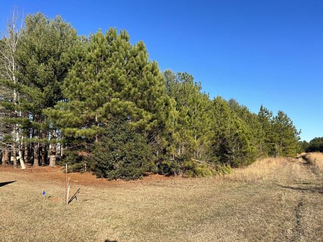 0 Hickerson Rd, Manchester, TN 37355 - photo 8