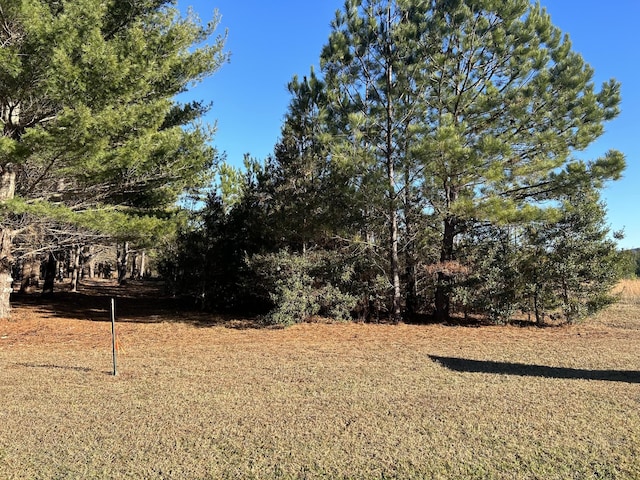 0 Hickerson Rd, Manchester, TN 37355 - photo 3