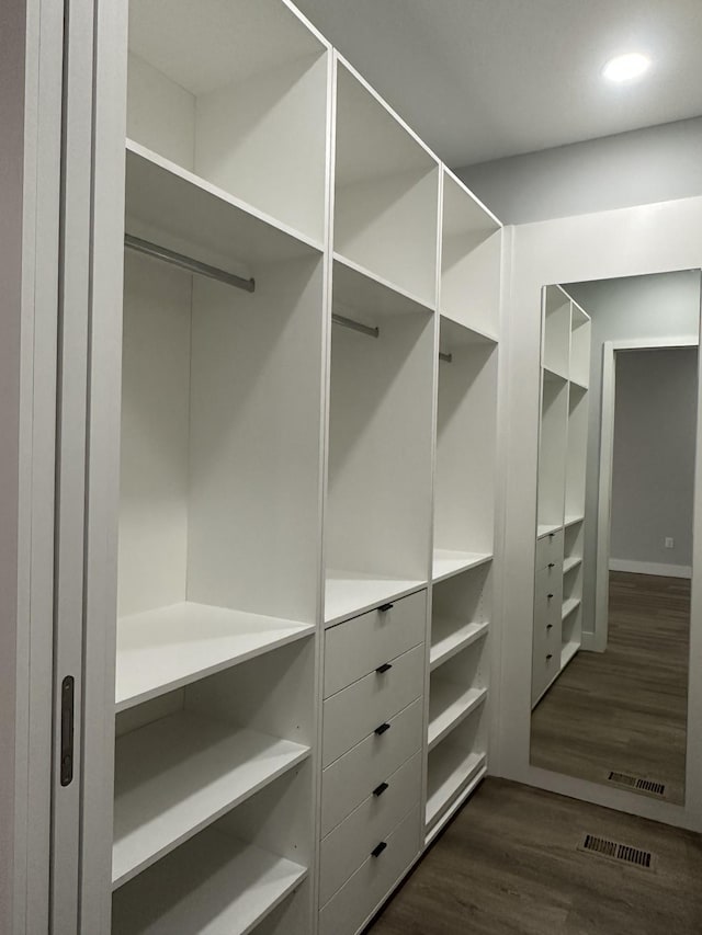 spacious closet featuring dark wood-type flooring