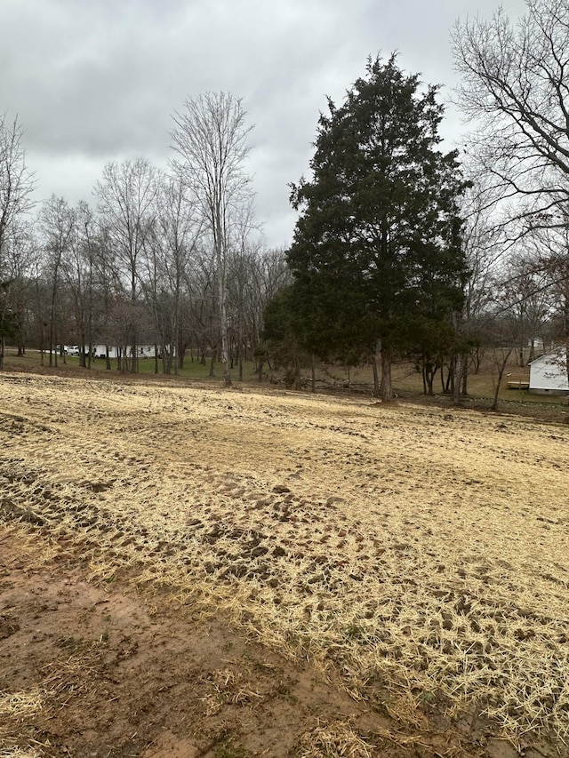 view of yard with a rural view