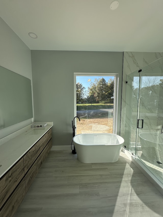 bathroom with vanity and independent shower and bath