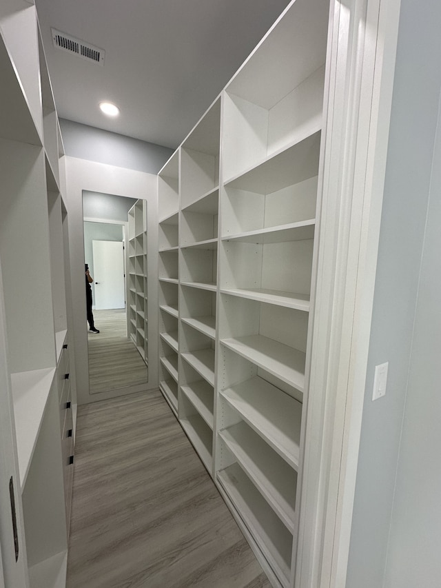 spacious closet featuring light wood-type flooring