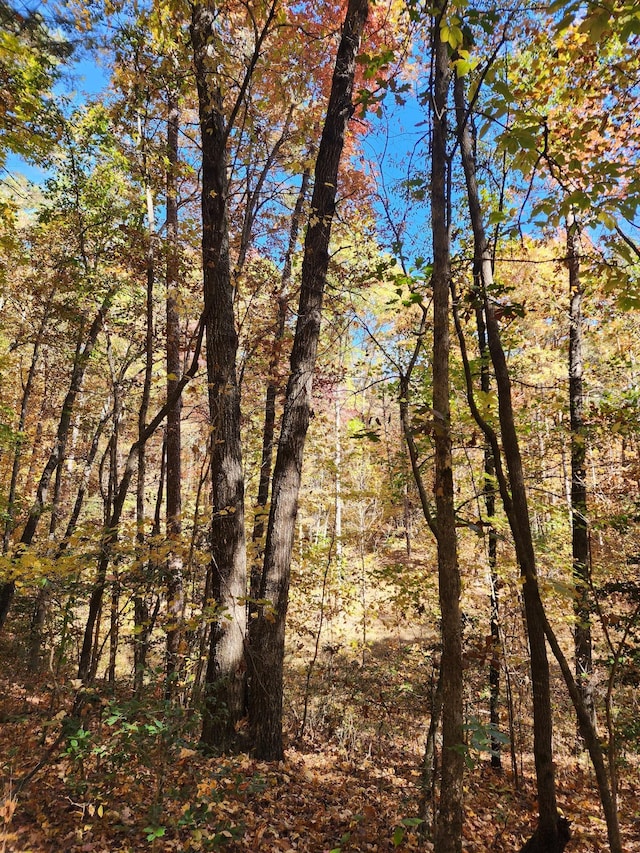 9 Savage Highland Dr, Coalmont, TN 37313