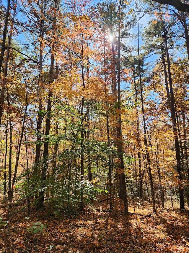 9 Savage Highland Dr, Coalmont, TN 37313