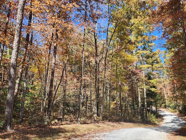 9 Savage Highland Dr, Coalmont, TN 37313