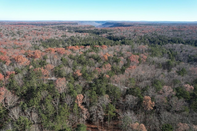 9 Savage Highland Dr, Coalmont, TN 37313