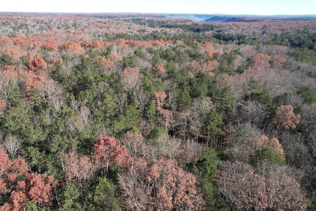9 Savage Highland Dr, Coalmont, TN 37313
