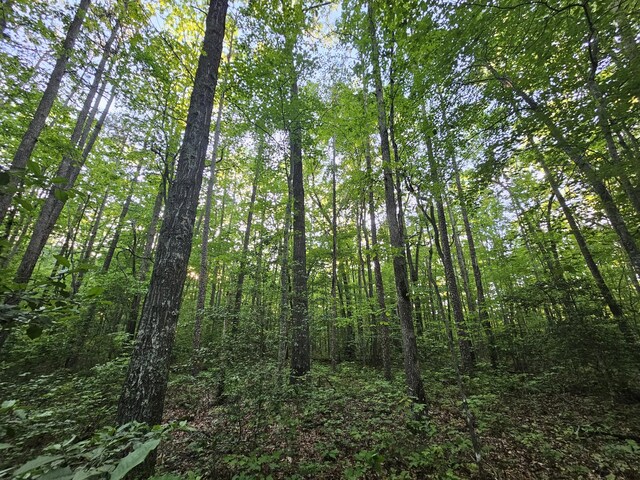 9 Savage Highland Dr, Coalmont, TN 37313