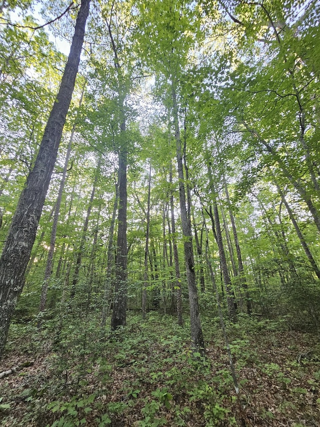 9 Savage Highland Dr, Coalmont, TN 37313