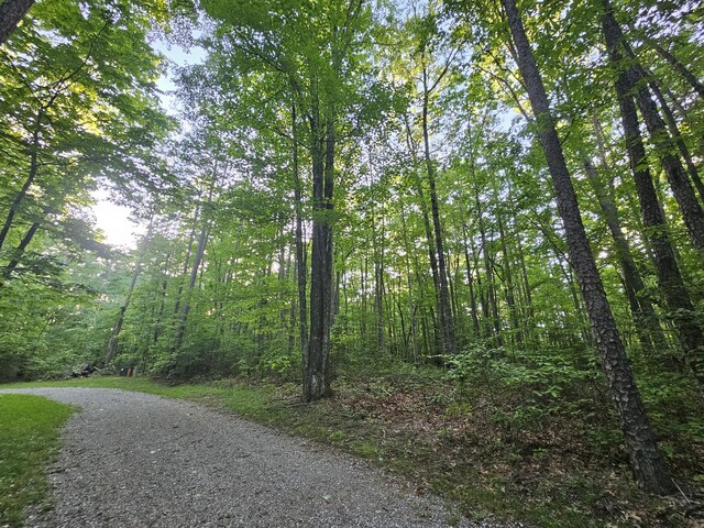 9 Savage Highland Dr, Coalmont, TN 37313