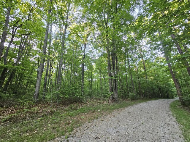 9 Savage Highland Dr, Coalmont, TN 37313