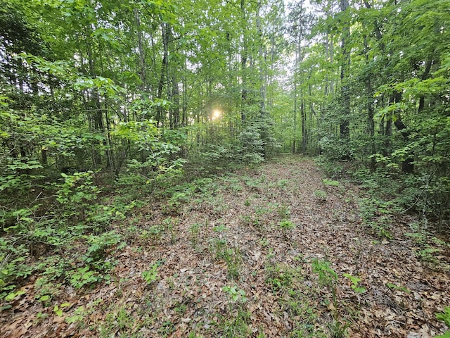 9 Savage Highland Dr, Coalmont, TN 37313
