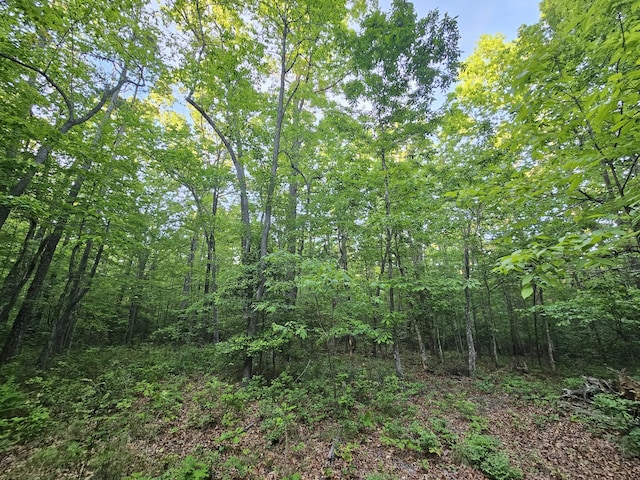 9 Savage Highland Dr, Coalmont, TN 37313