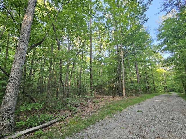 9 Savage Highland Dr, Coalmont, TN 37313