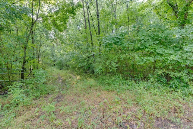 0 Patton Branch Rd, Goodlettsville TN, 37072 land for sale