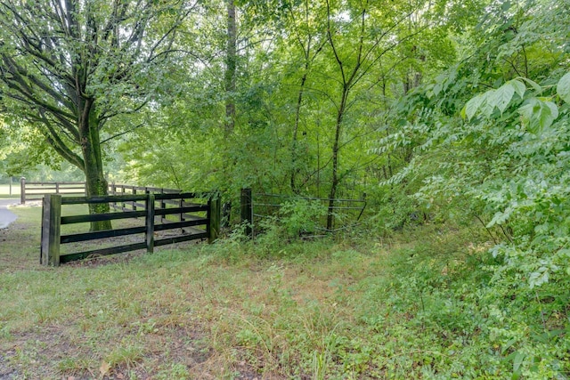 Listing photo 3 for 0 Patton Branch Rd, Goodlettsville TN 37072