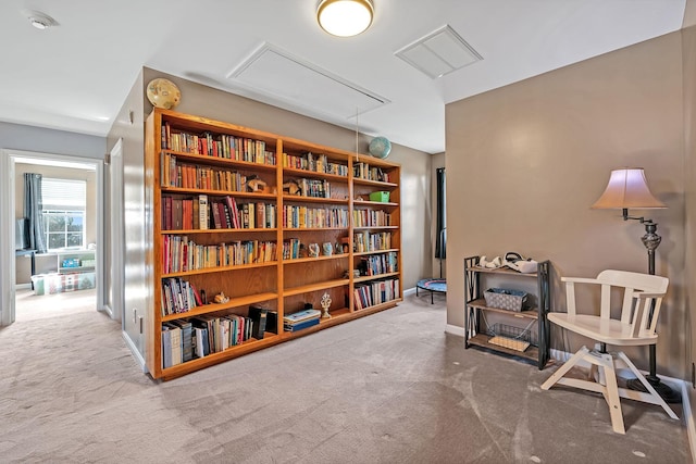 living area featuring carpet flooring