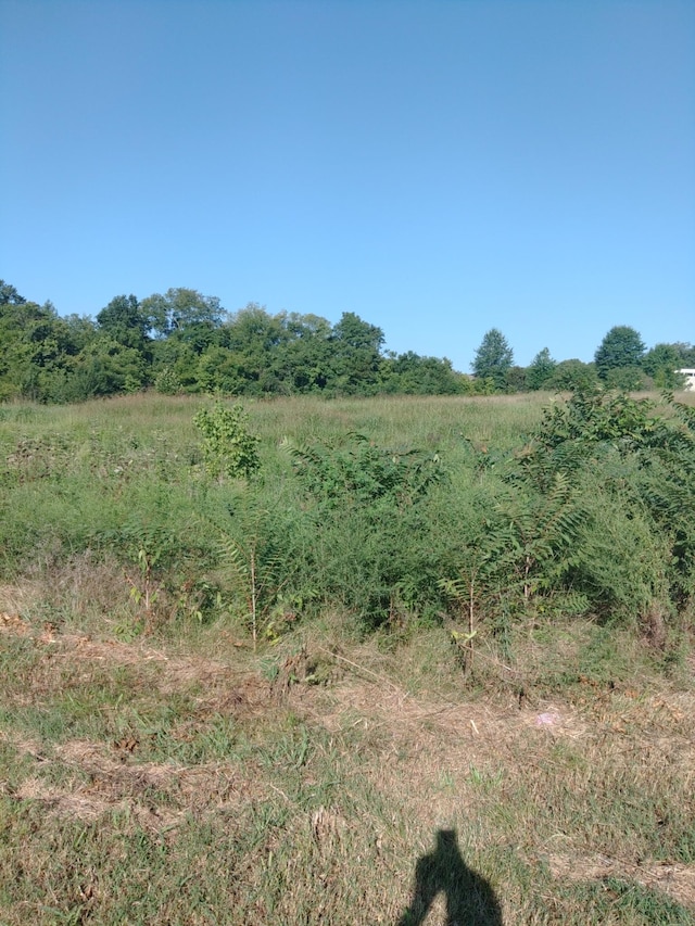 0 Tom J Hitch, Columbia, TN 38401