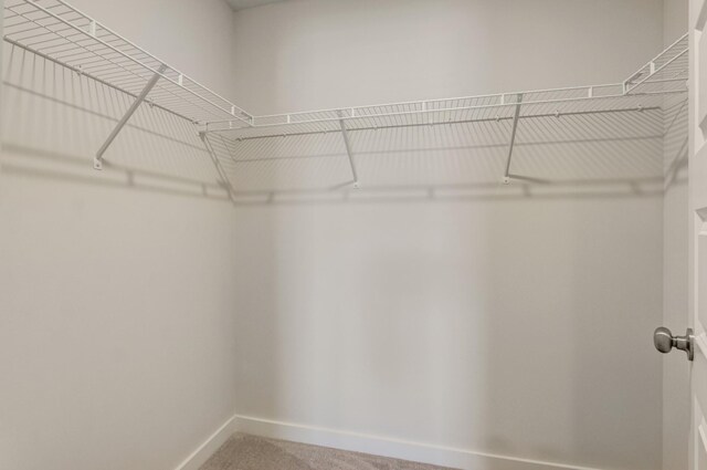 656 Birdie Dr, Spring Hill, TN 37174 - photo 27