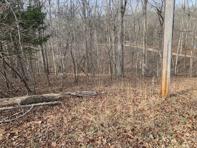 0 Oak Ct, Nunnelly, TN 37137