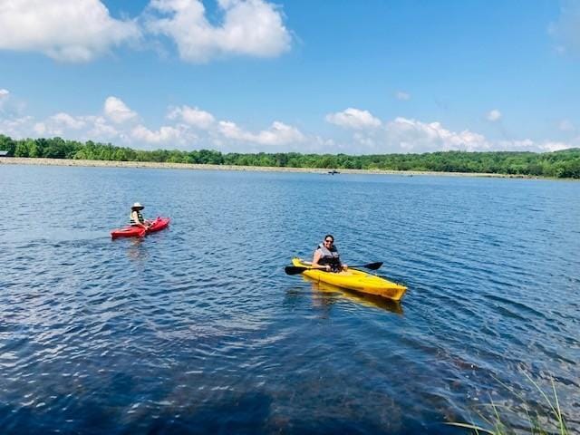 31 Lillypad Ln, Tracy City, TN 37387