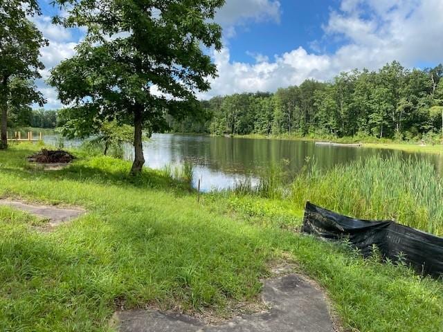 31 Lillypad Ln, Tracy City, TN 37387