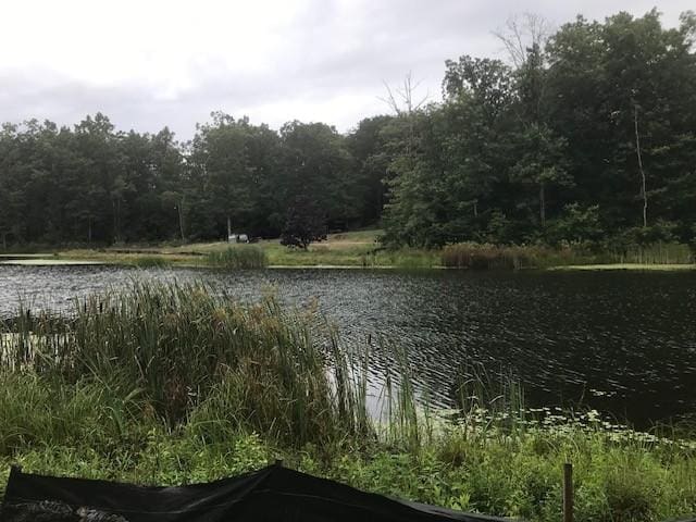 31 Lillypad Ln, Tracy City, TN 37387