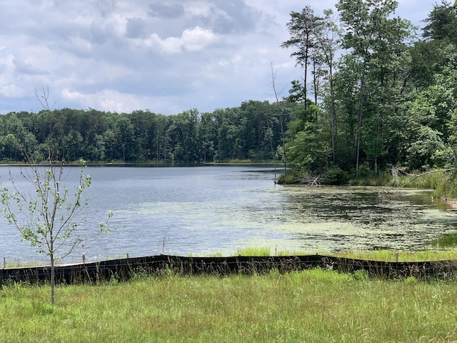 31 Lillypad Ln, Tracy City, TN 37387