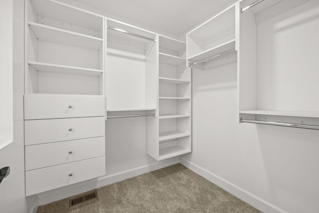 spacious closet featuring carpet floors