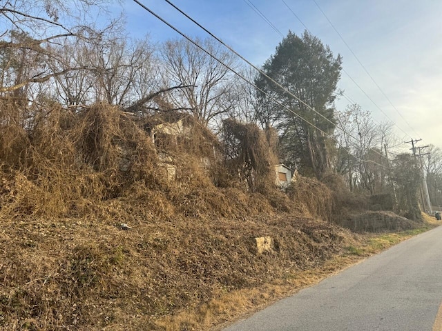 574586 Richland St, Dayton, TN 37321 - photo 4