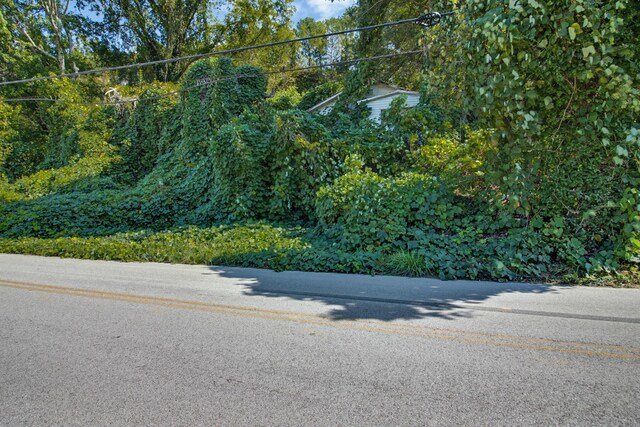 574586 Richland St, Dayton, TN 37321 - photo 21