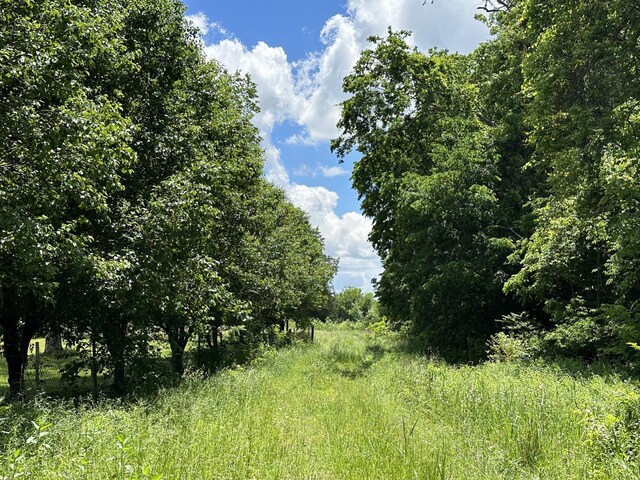 0 Mccrary Rd, Lebanon, TN 37090 - photo 13